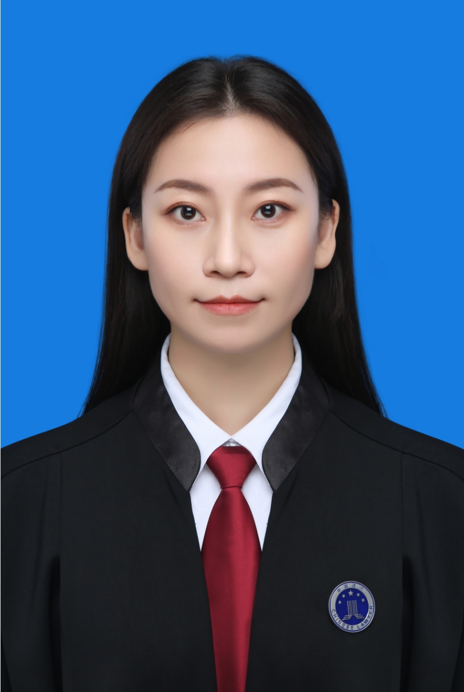 焦菲  律师